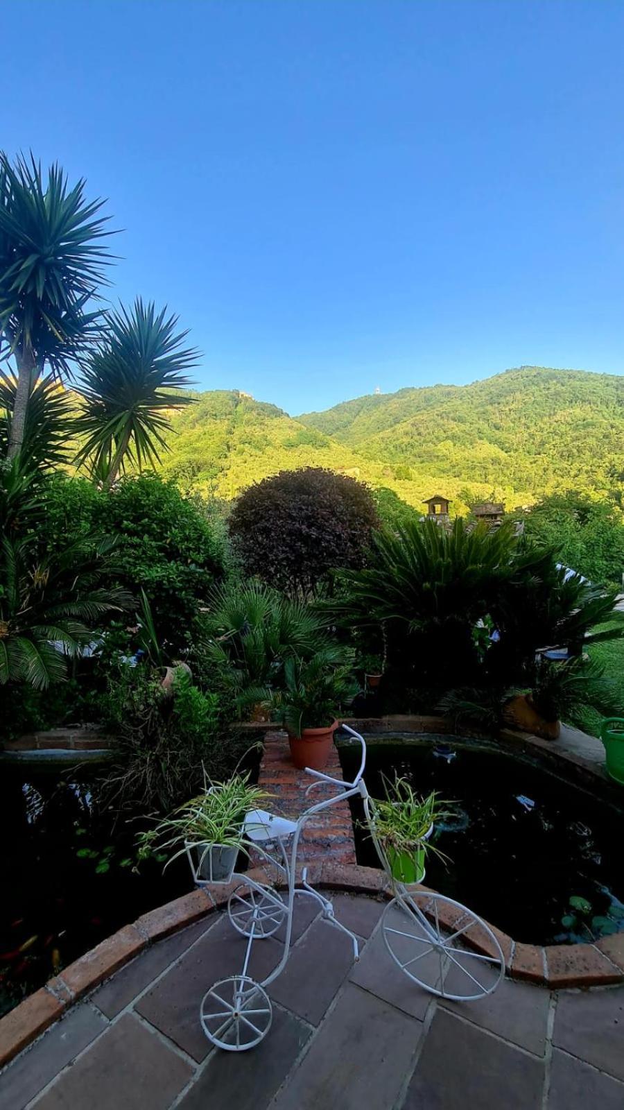 Luni Jasmine Cottage المظهر الخارجي الصورة